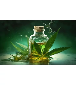 A CBD olaj jótékony hatásai ! 